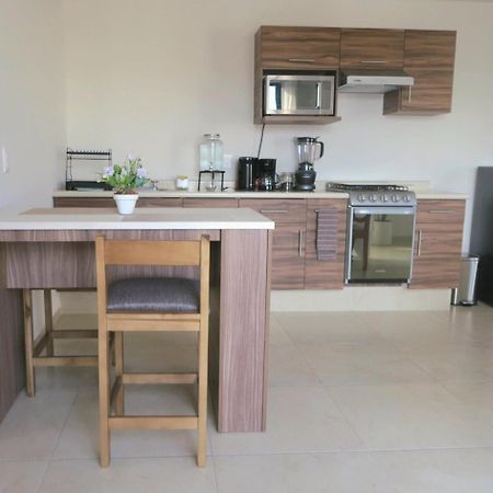 Ferienwohnung Departamento Tequis, Totalmente Nuevo En El Corazon De Slp San Luis Potosí Exterior foto